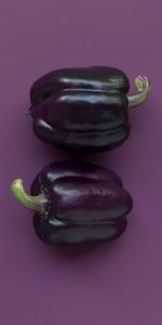 Food,Pepper,Violet,Vegetable,Purple