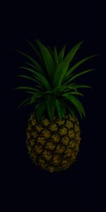 Food,Pineapple,Leaves,Tropical,Fruit