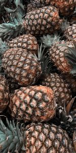 Food,Pineapple,Leaves,Tropical,Fruits