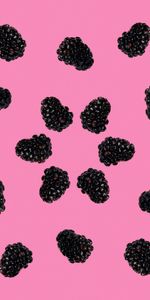 Food,Pink,Berries,Blackberry,Minimalism