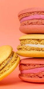 Gâteaux,Les Makaroons,Nourriture,Désert,Macarons,Rose