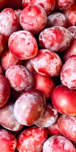 Food,Plum,Macro,Fruits