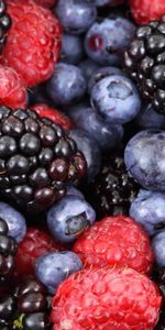 Food,Raspberry,Berries,Bilberries,Blackberry