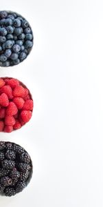 Food,Raspberry,Berries,Bilberries,Blackberry