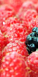 Food,Raspberry,Berries,Blackberry,Macro