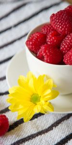 Food,Raspberry,Berries,Plants