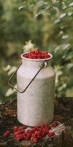 Food,Raspberry,Can,Berries,Harvest