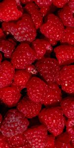 Food,Raspberry,Desert,Berry,Fruit