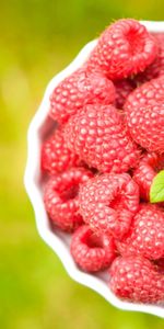 Food,Raspberry,Flower,Blur,Smooth,Bowl,Ripe