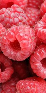 Framboise,Fruits,Nourriture