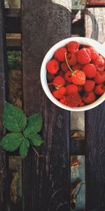 Food,Raspberry,Wood,Sheet,Leaf,Berry,Planks,Strawberry,Wooden,Board