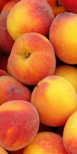 Food,Ripe,Peaches,Fruits,Background