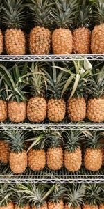 Food,Shelf,Fruits,Pineapples,Tropical