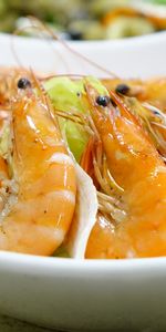 Food,Shrimp,Appetizing,Boiled