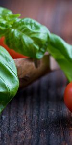 Food,Spoon,Tomatoes,Basil