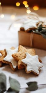 Food,Stars,Cookies,Branch,Box,Glare