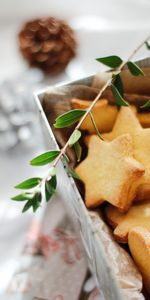 Food,Stars,Cookies,Branch,Desert,Bakery Products,Baking