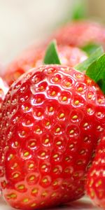 Food,Strawberry,Fruits