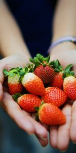 Food,Summer,Berries,Hands,Ripe,Juicy,Strawberry