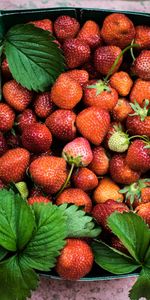 Food,Summer,Berries,Ripe,Strawberry