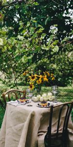 Portion,Pique Nique,Table,Nature,Tableau,Nourriture,Petit Déjeuner,Été