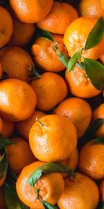 Food,Tangerines,Fruits,Citrus