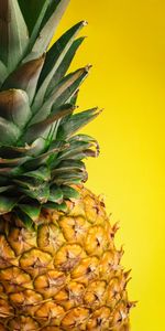 Fruit,Un Ananas,Nourriture,Le Fruit,Ananas,Tropical