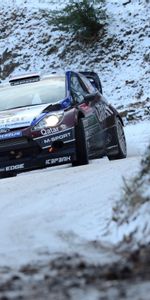 Ралли,Wrc,Ford Fiesta,Автомобиль,Спорт