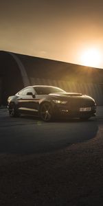 Ford Mustang,Sports,Side View,Sunset,Cars,Sports Car,Mustang,Car