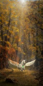 Forest,Art,Wings,Pegasus,Horse,Fantasy