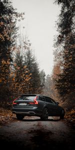 Volvo V90,Вольво (Volvo),Тачки (Cars),Автомобиль,Серый,Лес,Осень