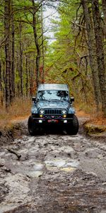 Forest,Car,Jeep,Front View,Jeep Wrangler,Cars