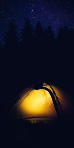 Noche,Bosque,Tienda,Cámping,Oscuro,Camping