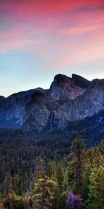 Forest,Evening,Hollow,Ridge,Spine,Combe,Nature,Mountains