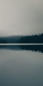 Forest,Fog,Lake,Nature