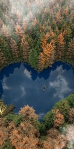 Forest,Lake,Heart,Nature,Boat