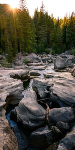 Forest,Landscape,Nature,Stones,Rivers