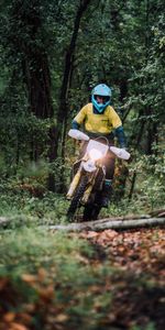 Forest,Movement,Helmet,Motorcycles,Traffic,Motorcycle,Bike,Motorcyclist