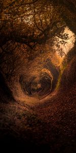 Nature,Rotation,Tourbillonnant,Développante,Forêt,Chemin,Automne