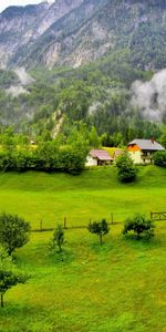 Forest,Slovenia,Nature,Trees,Mountains