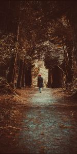 Forest,Stroll,Trees,Autumn,Loneliness,Nature