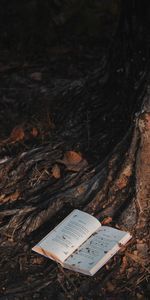 Forest,Tree,Book,Miscellanea,Wood,Miscellaneous