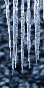 Frost,Acute,Sharp,Icicles,Ice,Macro