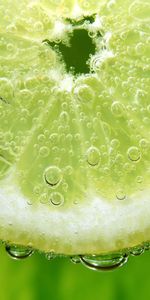 Fruits,Background,Lemons