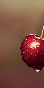 Cerise,Fruits,Nourriture