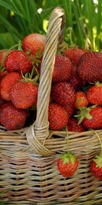 Fruits,Food,Strawberry