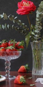 Fruits,Food,Strawberry,Still Life