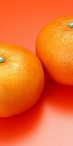 Mandarines,Fruits,Nourriture,Still Life