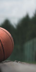 Baloncesto,Bola,El Juego,Mesa De Trabajo,Banco,Pelota,Juego,Deportes