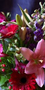 Gerberas,Alstroemeria,Bouquet,Lily,Flowers,Composition